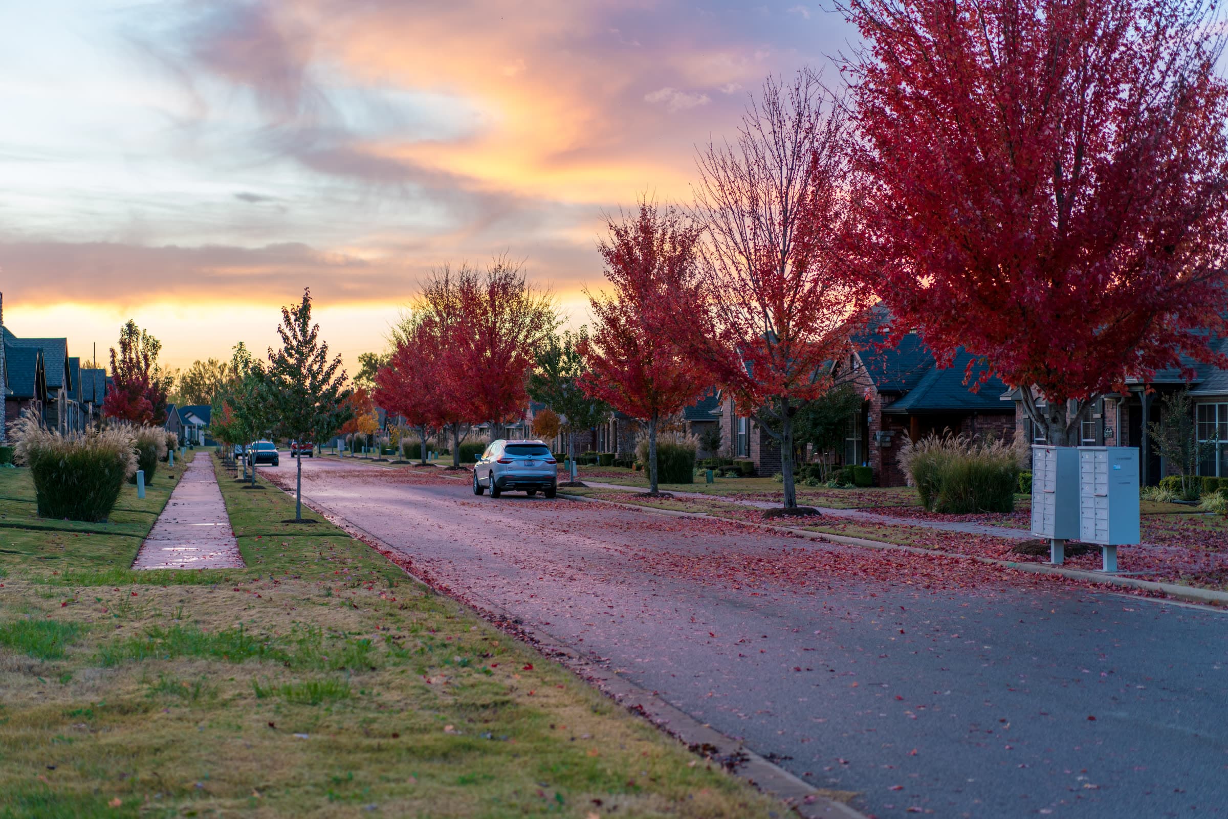 A tree-lined residential street in a Northwest Arkansas neighborhood in autumn