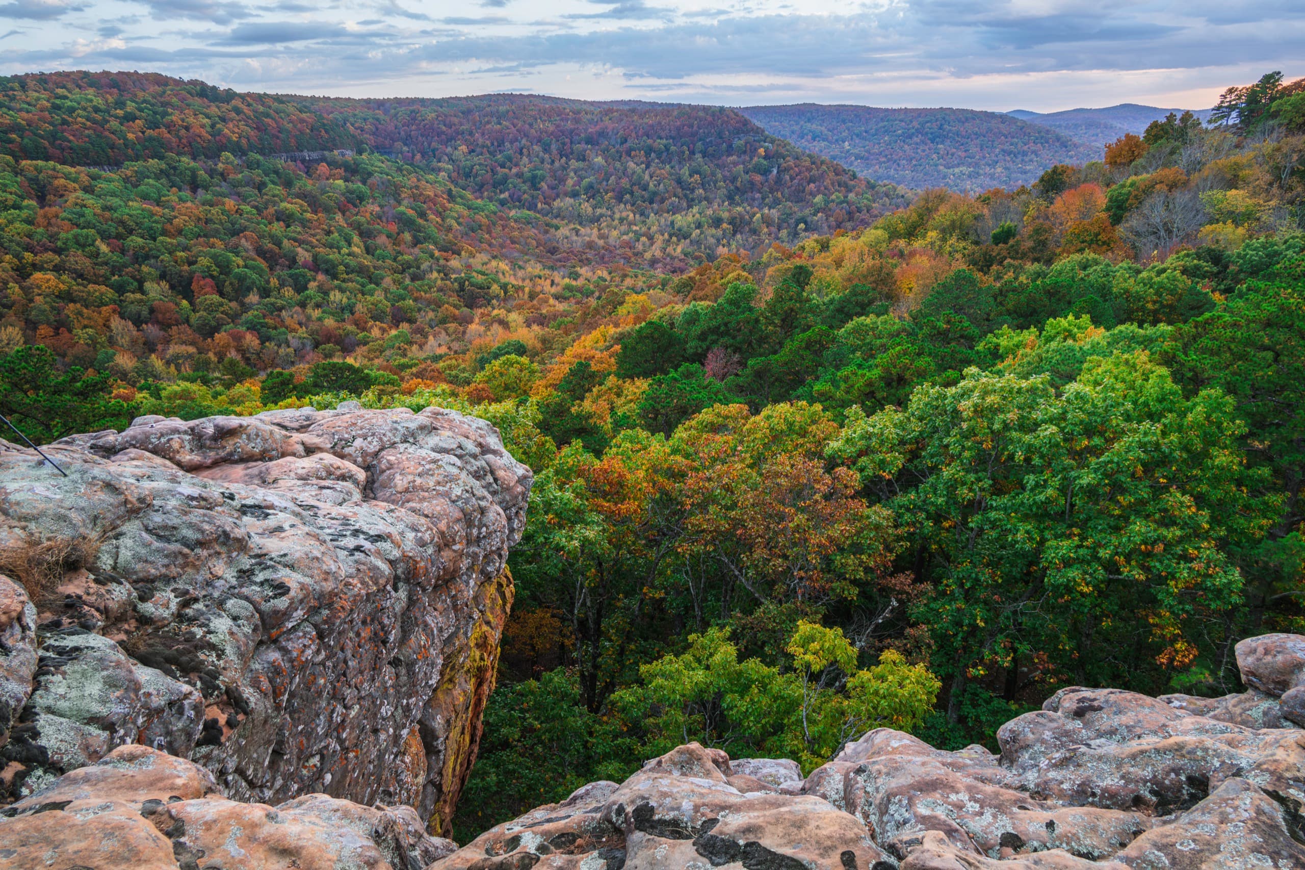 An overlook in the Arkansas Ozarks