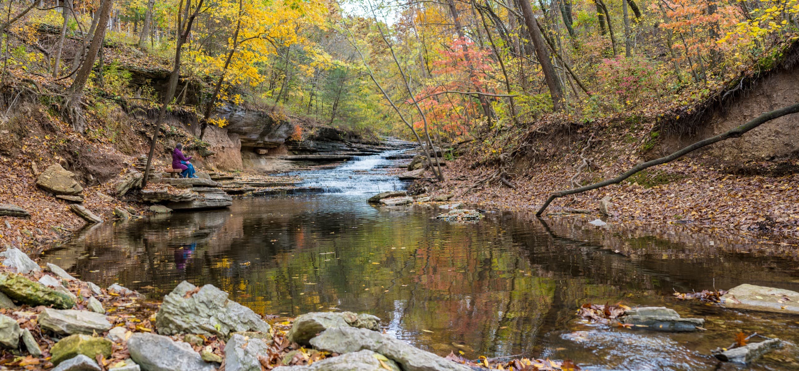 Tanyard Creek Nature Trail in Bella Vista, Arkansas